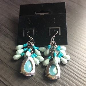 Never been worn earrings!!